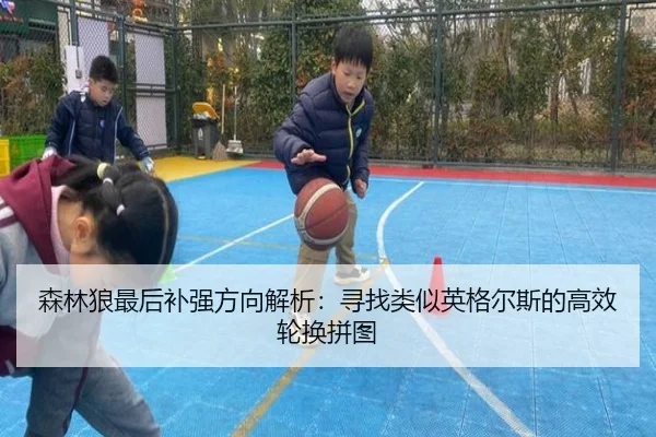森林狼最后补强方向解析:寻找类似英格尔斯的高效轮换拼图